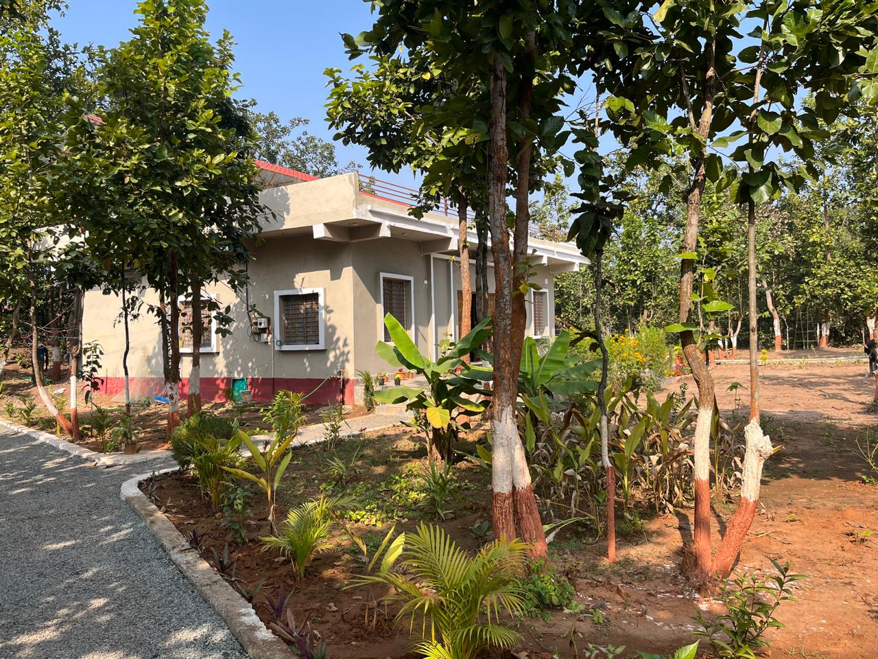 Luxury resort pool with palm trees at sunset
